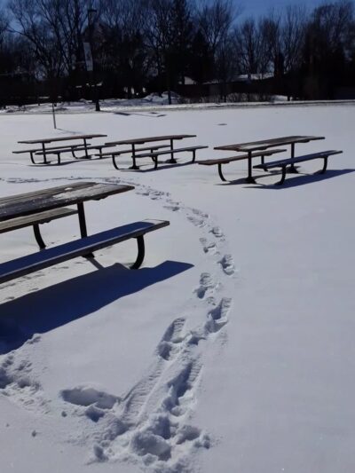 Hainlin Park - Winsted, MN