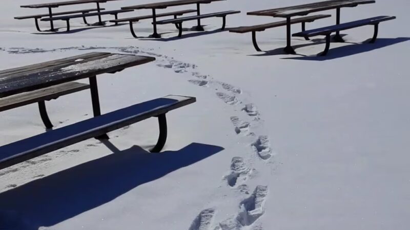 Hainlin Park - Winsted, MN