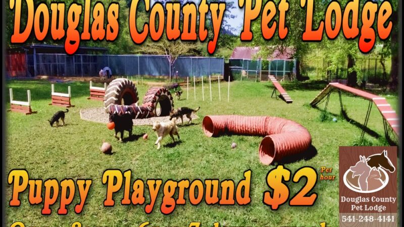 Douglas County Pet Lodge - Winston, OR
