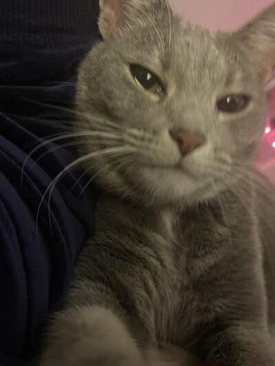 Douglas County Pet Lodge - Winston, OR