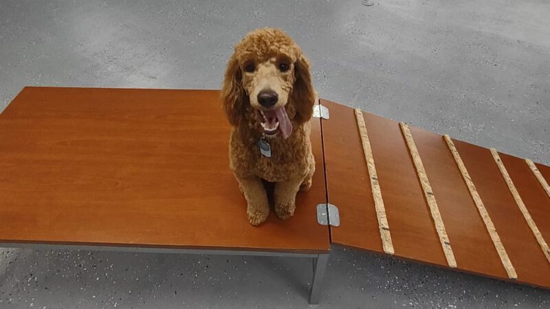 Schreiber Tails - Winston, OR