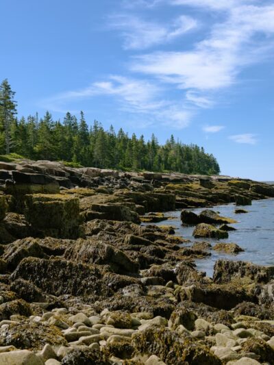 Schoodic Head - Winter Harbor, ME