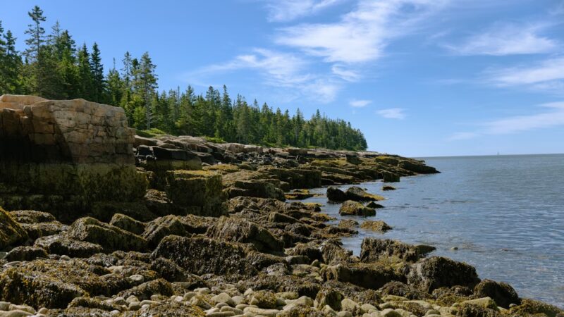Schoodic Head - Winter Harbor, ME