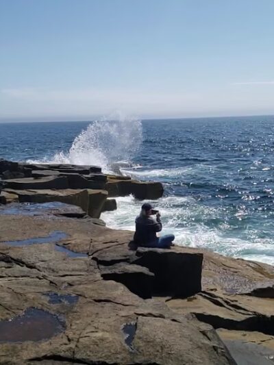 Schoodic Point - Winter Harbor, ME