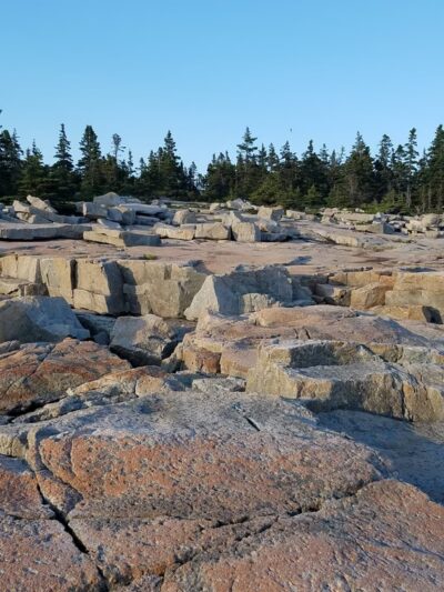 Schoodic Point - Winter Harbor, ME