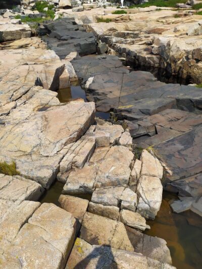 Schoodic Point - Winter Harbor, ME