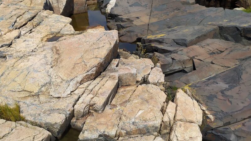 Schoodic Point - Winter Harbor, ME