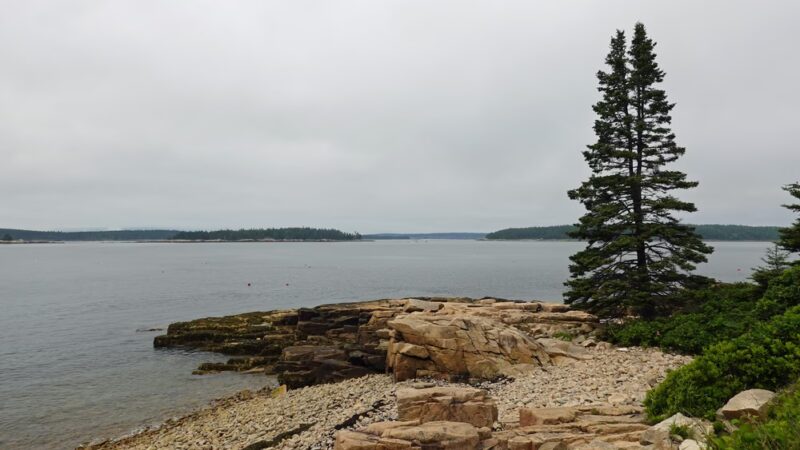 Sea Schoodic Kayak & Bike - Winter Harbor, ME