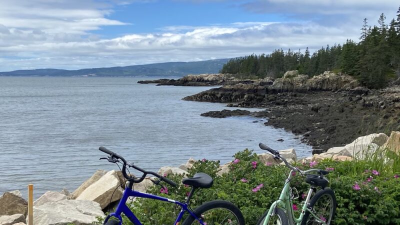 Sea Schoodic Kayak & Bike - Winter Harbor, ME