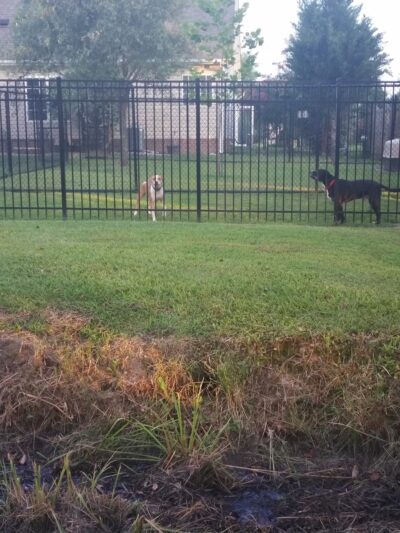 Winterville Recreation Park - Winterville, NC