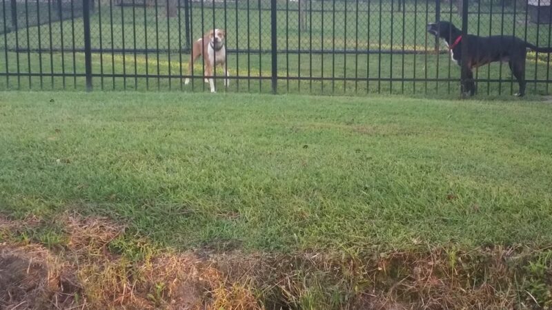 Winterville Recreation Park - Winterville, NC