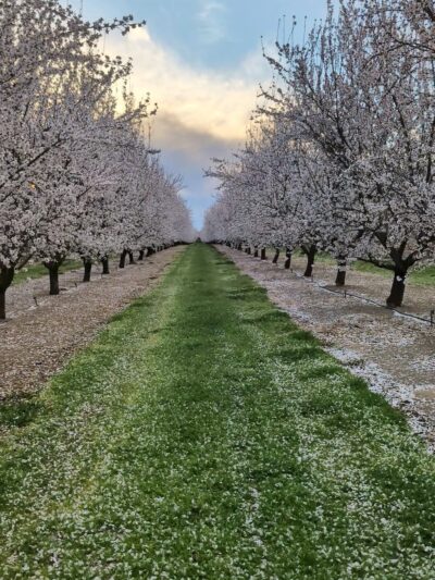 Winton park - Winton, CA