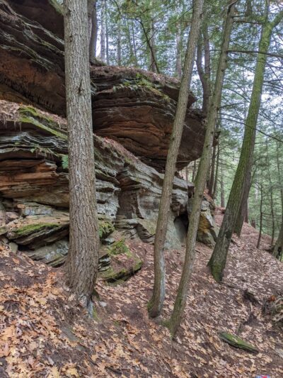 Chapel Gorge Trail - Wisconsin Dells, WI