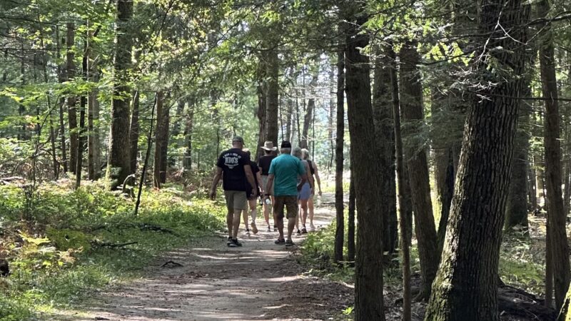 Chapel Gorge Trail - Wisconsin Dells, WI