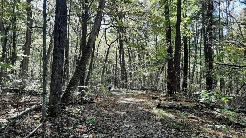 Dells Hike - Wisconsin Dells, WI