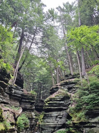 Dells of the Wisconsin River State Natural Area - Wisconsin Dells, WI