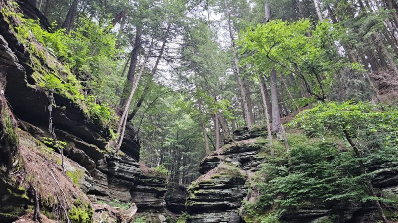 Dells of the Wisconsin River State Natural Area - Wisconsin Dells, WI