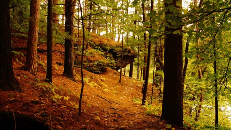 Echo Rock - Wisconsin Dells, WI