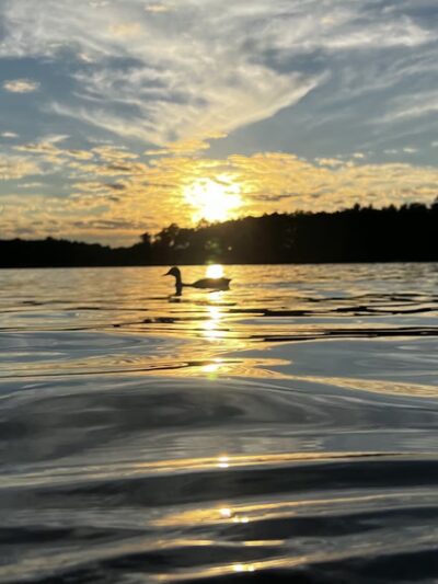 Kaminski Park - Wisconsin Dells, WI