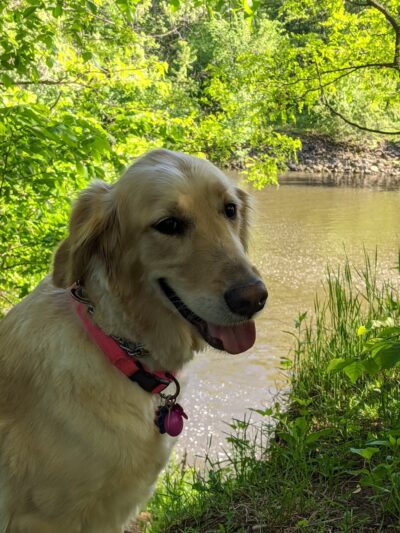 Kaminski Park - Wisconsin Dells, WI