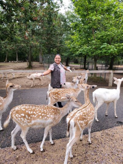 Wisconsin Deer Park - Wisconsin Dells, WI