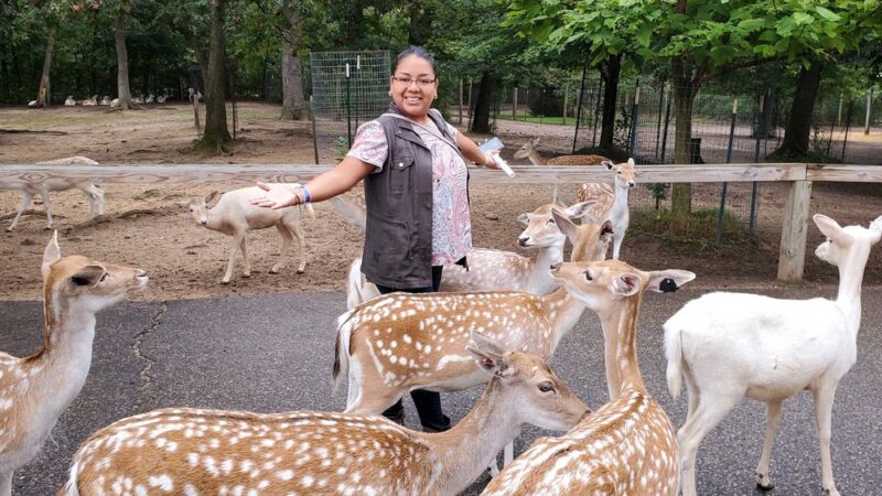Wisconsin Deer Park - Wisconsin Dells, WI