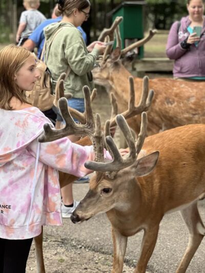 Wisconsin Deer Park - Wisconsin Dells, WI