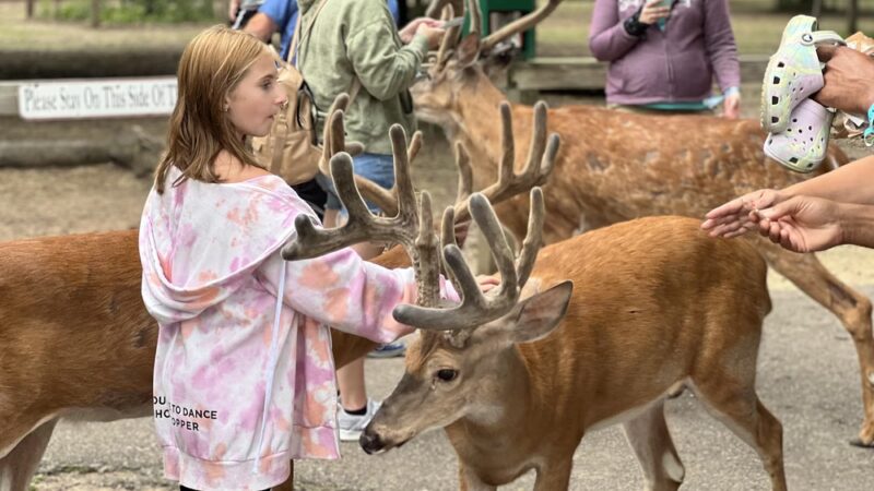 Wisconsin Deer Park - Wisconsin Dells, WI