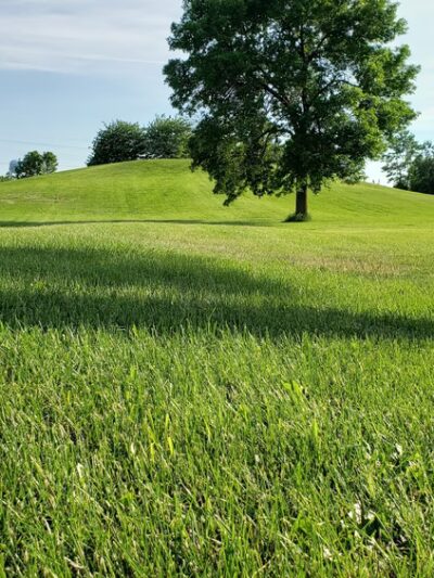 Poplar Springs Park - Wisconsin Rapids, WI