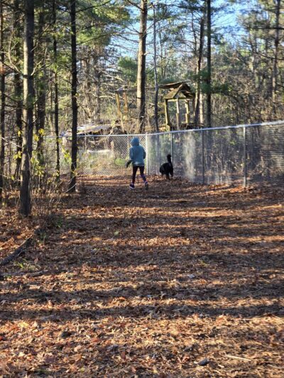 Rapids Room to Zoom Dog Park - Wisconsin Rapids, WI