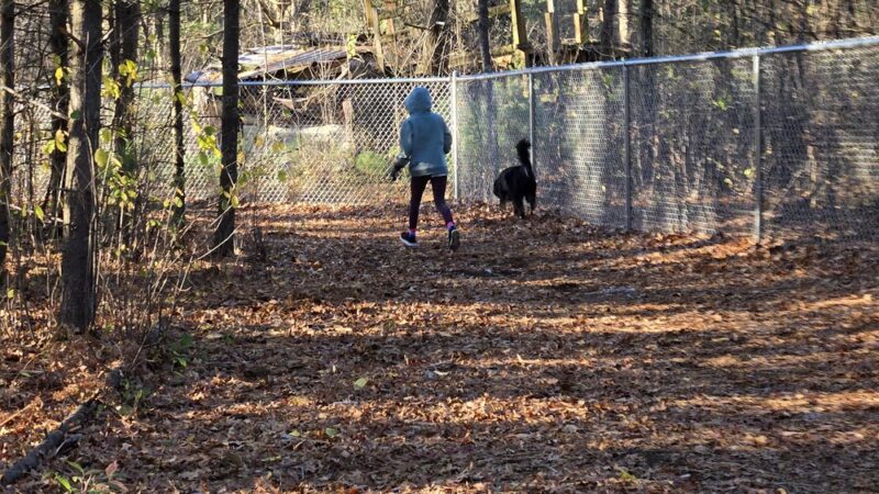 Rapids Room to Zoom Dog Park - Wisconsin Rapids, WI