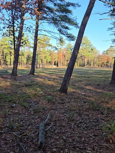 Rapids Room to Zoom Dog Park - Wisconsin Rapids, WI
