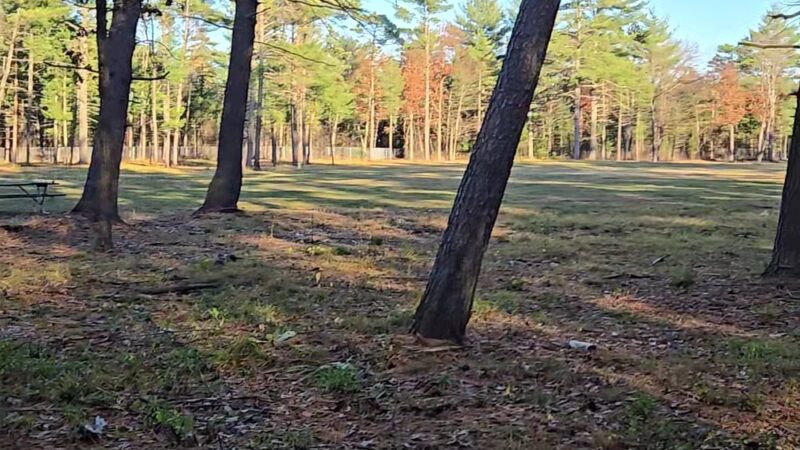 Rapids Room to Zoom Dog Park - Wisconsin Rapids, WI