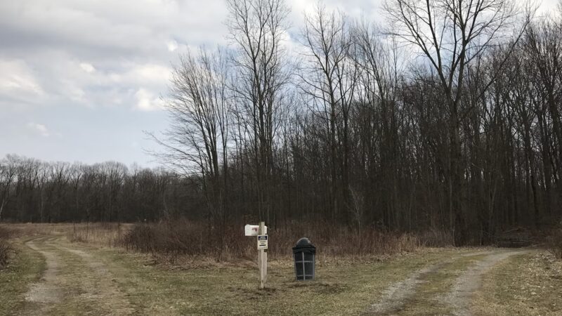Lyon Oaks Dog Park - Wixom, MI