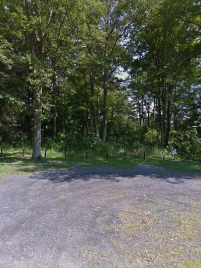 Lake Shore Marshes Wildlife Management Area - Wolcott, NY