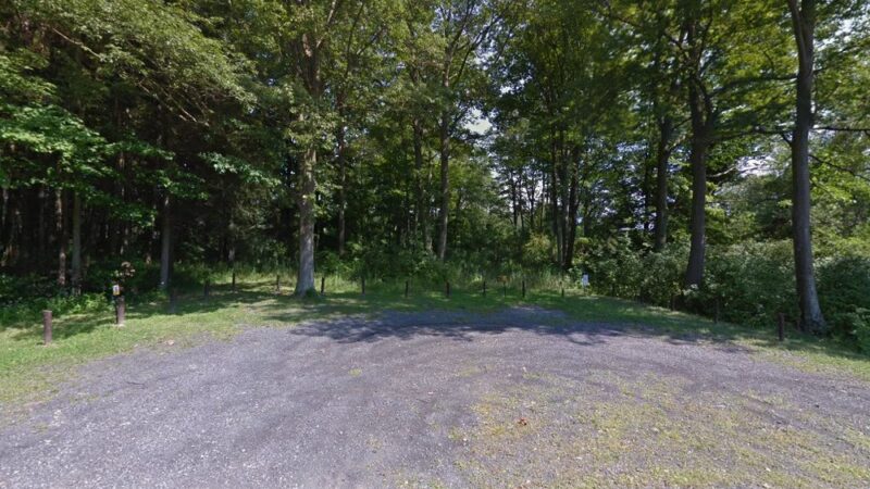 Lake Shore Marshes Wildlife Management Area - Wolcott, NY