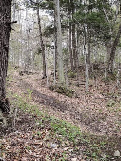 Whistlewood Park - Wolcott, NY