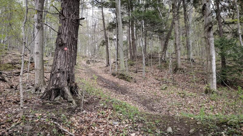 Whistlewood Park - Wolcott, NY