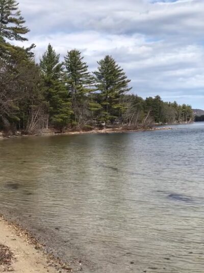 Albee Beach - Wolfeboro, NH