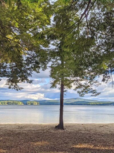 Albee Beach - Wolfeboro, NH