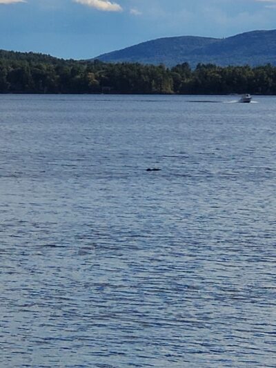Bailey's Bubble - Wolfeboro, NH