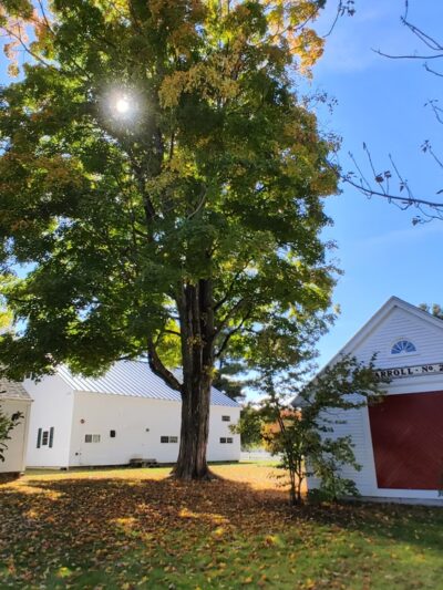 Clark House Museum Complex - Wolfeboro, NH