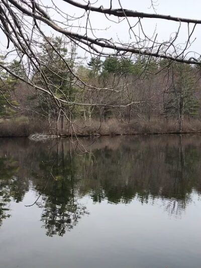 Front Bay Park - Wolfeboro, NH