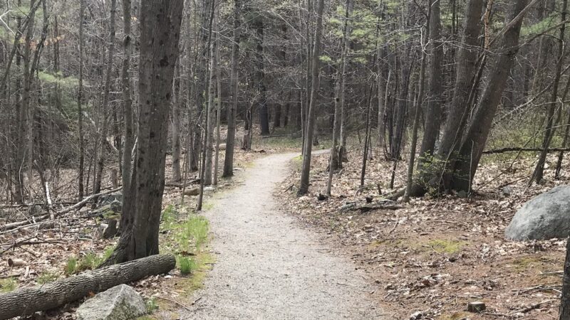 Front Bay Park - Wolfeboro, NH