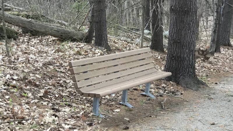 Front Bay Park - Wolfeboro, NH