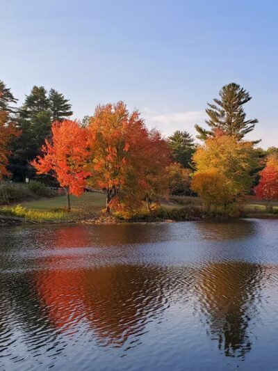 Mast Landing - Wolfeboro, NH
