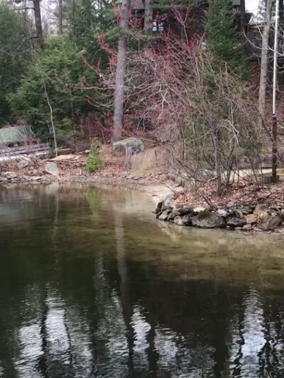 Mast Landing - Wolfeboro, NH