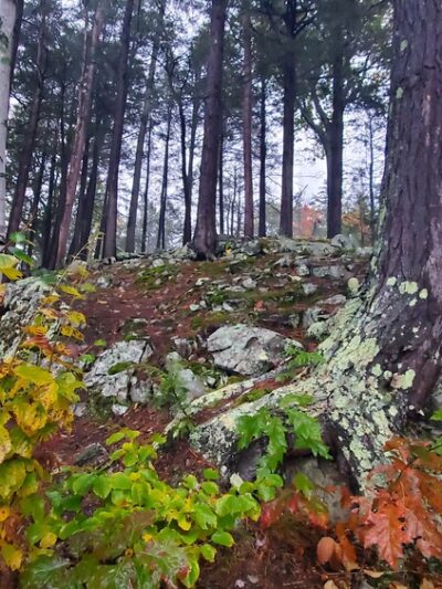 McKinney Park - Wolfeboro, NH