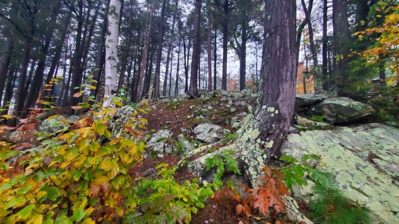 McKinney Park - Wolfeboro, NH