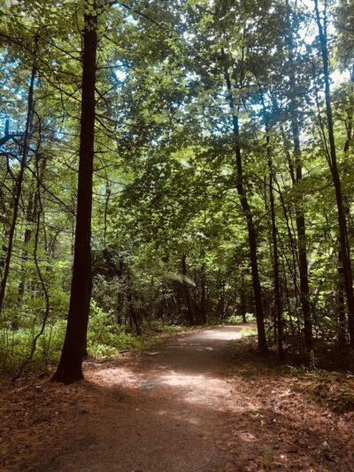 Sewall Woods - Wolfeboro, NH